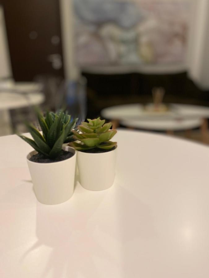 Solomou Inn Boutique Rooms Αθήνα Εξωτερικό φωτογραφία